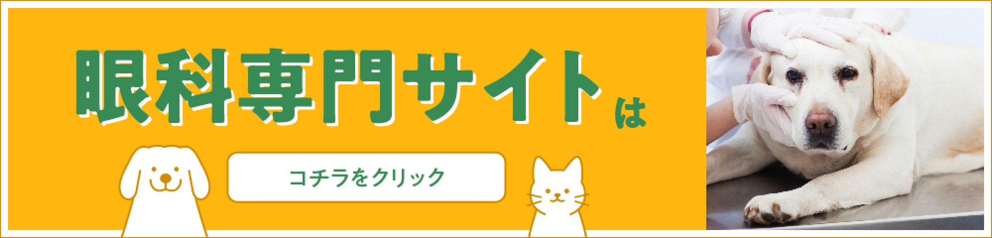 眼科サイトへのリンク